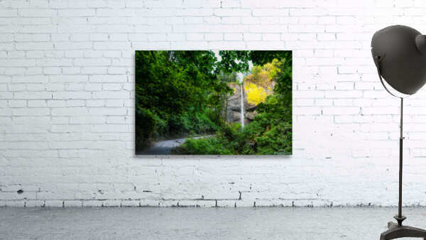 Path to Cascades Wall Preview