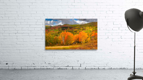 Some Things Always Change Wall Preview