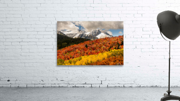 Layers of Seasons Wall Preview