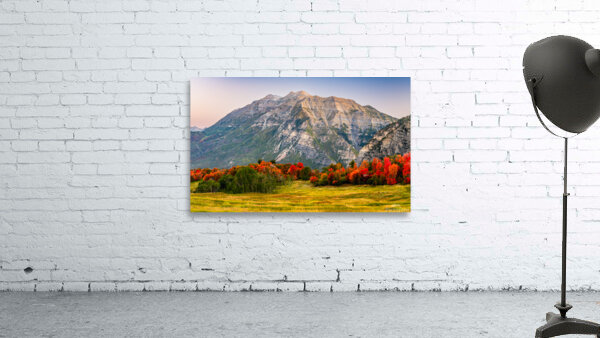 The Start of Fall Wall Preview