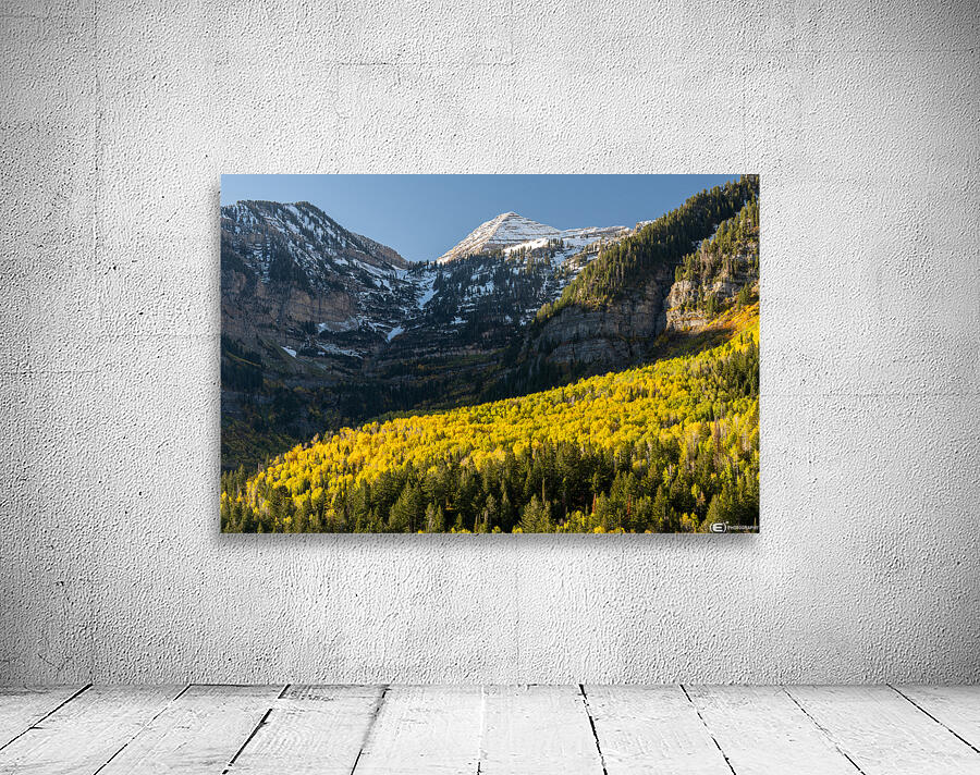 Around the Bend Wall Preview