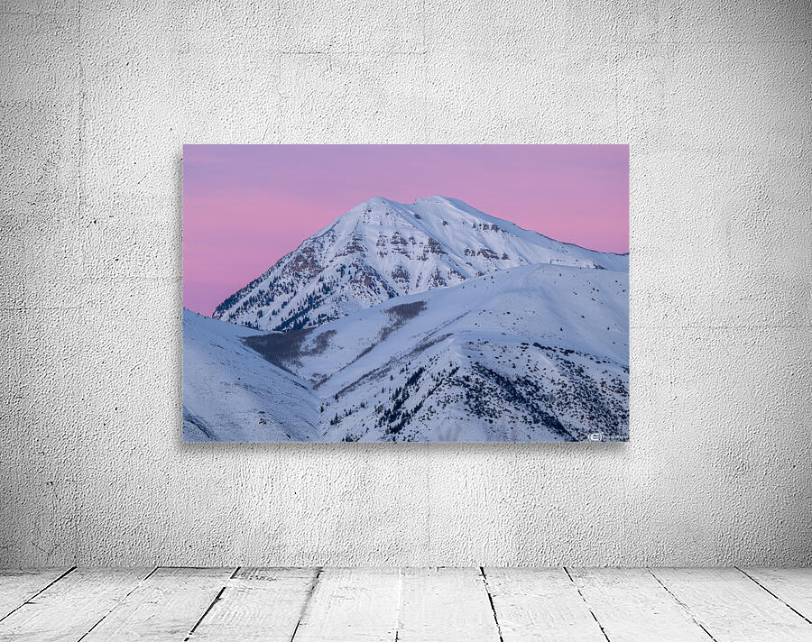 Timp and Pink Skies Wall Preview
