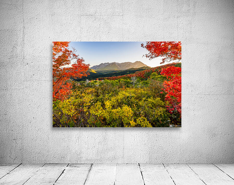 Color All Around Wall Preview