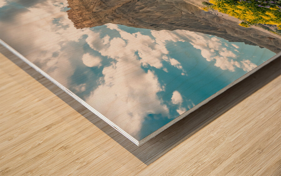 Wild Flowers and Factory Butt Wood print