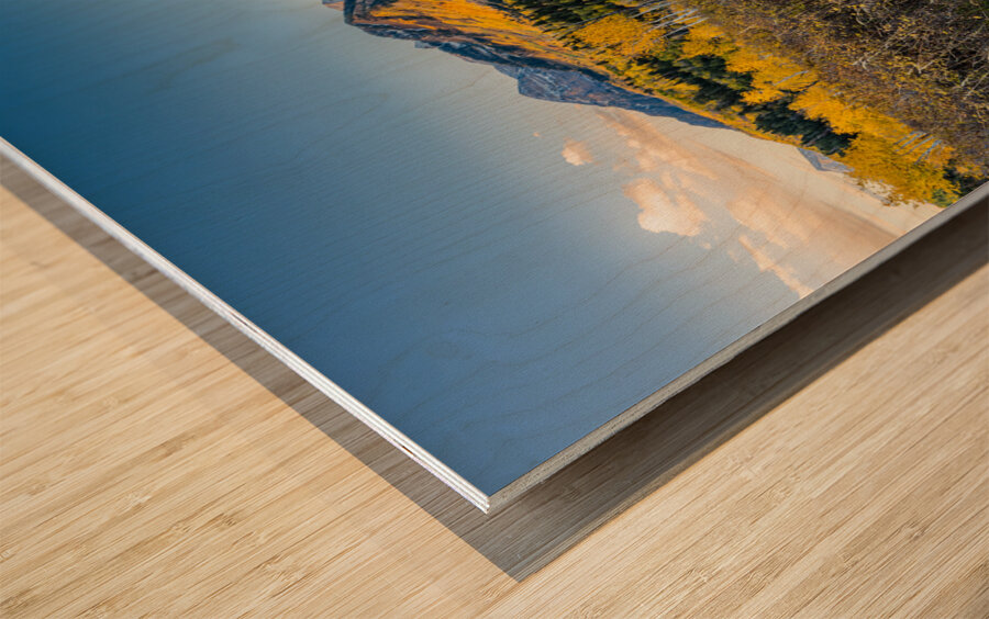 Morning Timp Wood print