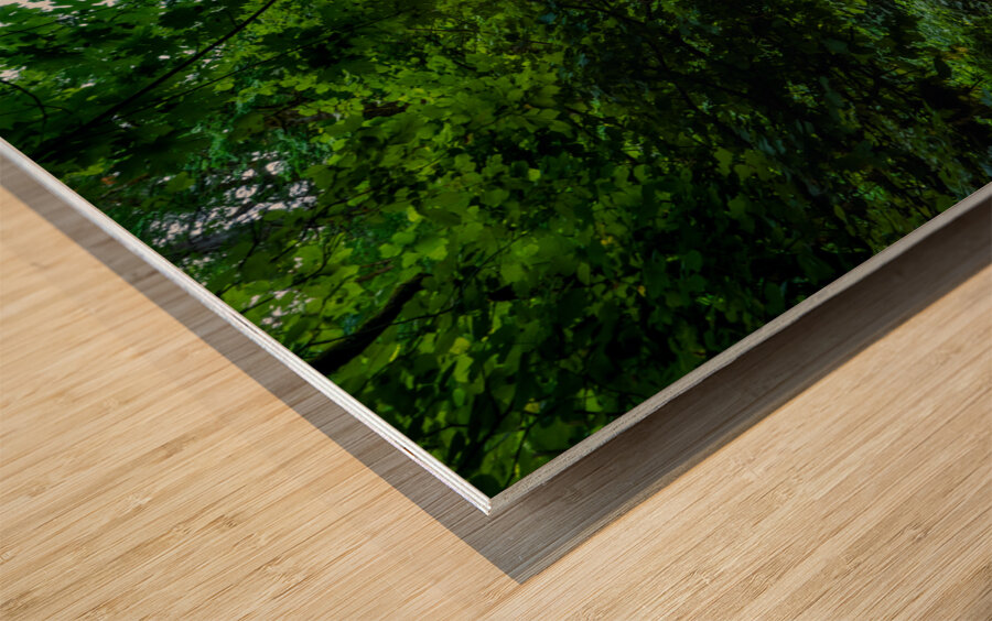 Path to Cascades Wood print