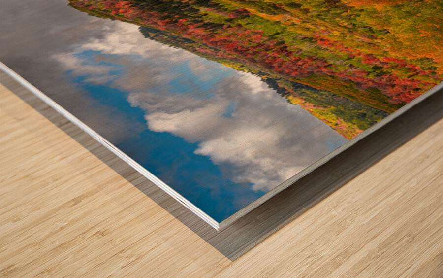 Some Things Always Change Wood print