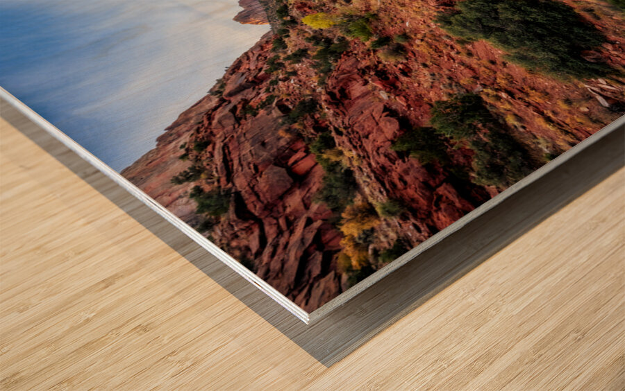 Fall in Zion National Park Wood print