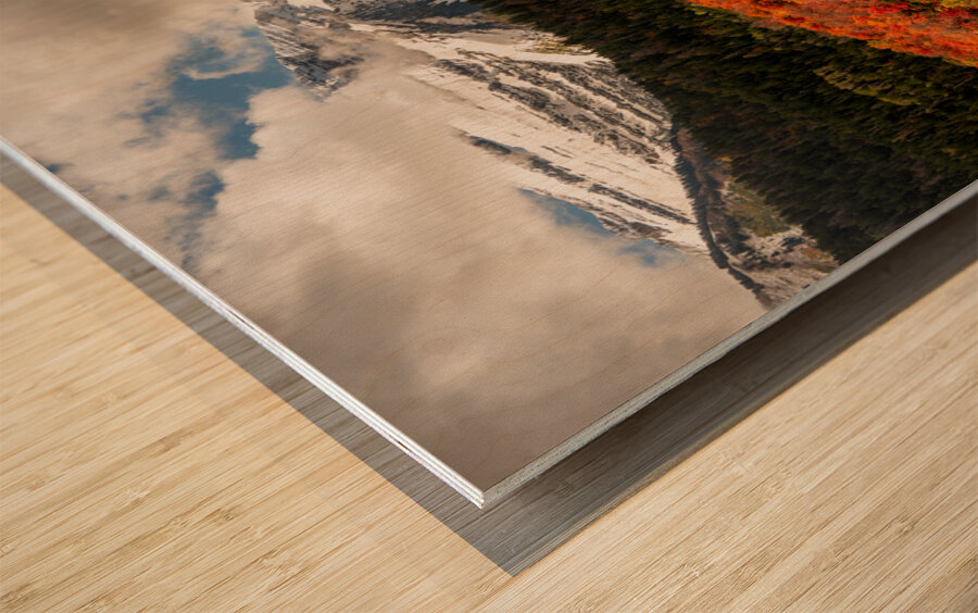 Layers of Seasons Wood print