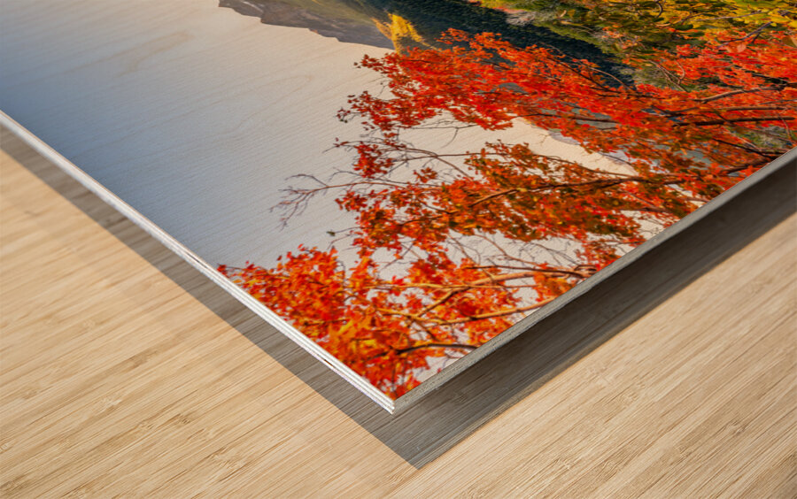 Color All Around Wood print