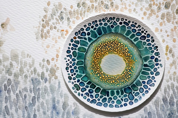 Cellular Echoes NZ92HJ 60 Digital Download