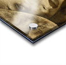 Vintage Allure Acrylic print