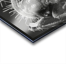 Macro Art Acrylic print