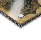 Arboreal Mind Within 29H4B 60 Acrylic print