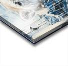 Arctic Sentinel 238HBC 45 Acrylic print