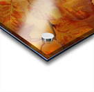 Autumn Leaves Glowing Y59H7N 45 Acrylic print
