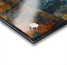 Autumn Reflections NZ8H29 45 Acrylic print