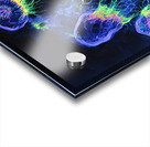 Bioluminescent Bloom 78HNP2 62   Copy Acrylic print