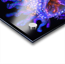 Bioluminescent Seahorse 92D3H7 69 Acrylic print