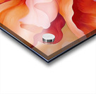 Blooming Coral Heart 2Y9P3H 53 Acrylic print