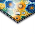 Blooming Cosmos 79B2D3 60 Acrylic print