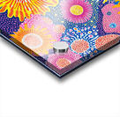 Blooming Cosmos 79HNPZ 57 Acrylic print