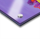 Chromatic Country Road H3N9B2 52 Acrylic print