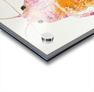 Chromatic Crustacean JH92N3 45 Acrylic print