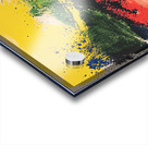 Chromatic Fusion 48Z7N 48 Acrylic print