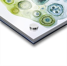 Cellular Echoes ZH92N5 47 Acrylic print