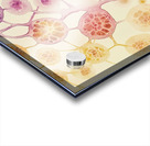 Cellular Echoes Y59H2N 55 Acrylic print