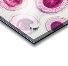 Cellular Harmony 249CPZ 47 Acrylic print