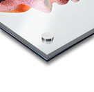 Celestial Visage H3N9P2 60 Acrylic print