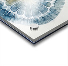 Cellular Harmony 9P3N2H 47 Acrylic print