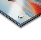 Chromatic Horizon VZ92HJ 60 Acrylic print