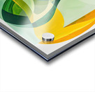 Chromatic Interplay Y8G3N 57 Acrylic print