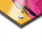 Chromatic Journey VZ92PN 60 Acrylic print