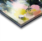 Chromatic Rhapsody 23HBNZ 50 Acrylic print