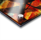 Chromatic Rhapsody 29H7N 55 Acrylic print