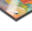 Chromatic Rhapsody 7G5H9N 57 Acrylic print