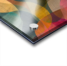 Chromatic Rhapsody 7P3H2N 56 Acrylic print