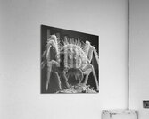 Macro Art Acrylic Print