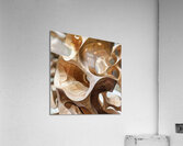 Organic Architecture Acrylic Print