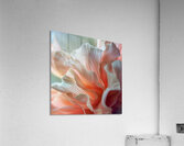 Ethereal Bloom Acrylic Print