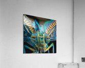 Insect Metamorphosis Acrylic Print