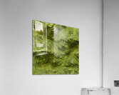 Topographic Serenity Acrylic Print