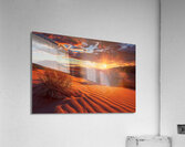 Desert Glow Acrylic Print
