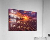 Desert Radiance Acrylic Print