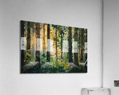 Enchanted Forest Acrylic Print