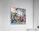 Abstract Forms Intertwined H2N9P4 55 Acrylic Print